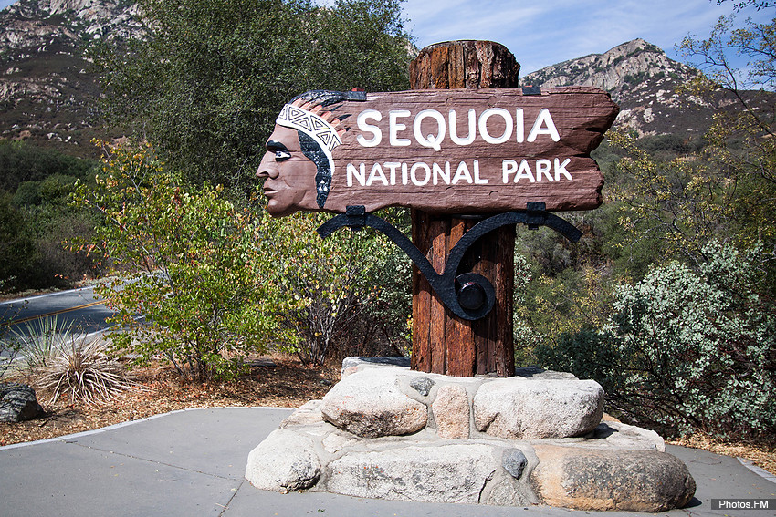 Sequoia National Park - Californie